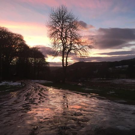 Beautiful Highland 1-Bed Cottage Inverness Luaran gambar