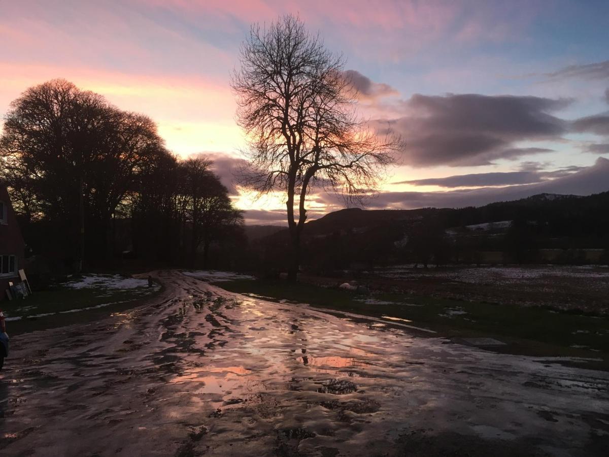 Beautiful Highland 1-Bed Cottage Inverness Luaran gambar